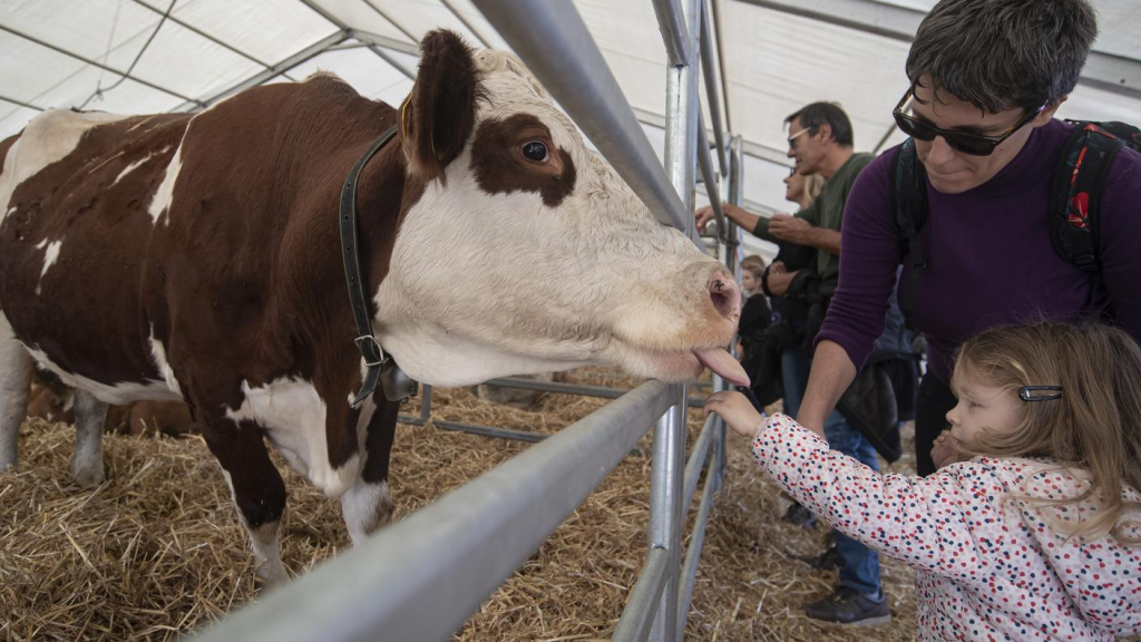 fiera agricola del basso lazio